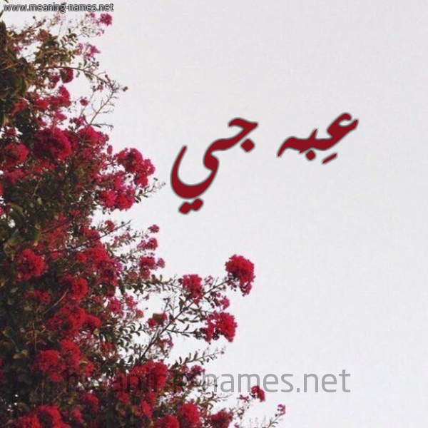 شكل 18 صوره الورد الأحمر للإسم بخط رقعة صورة اسم عِبَه جي AEBAH-GI